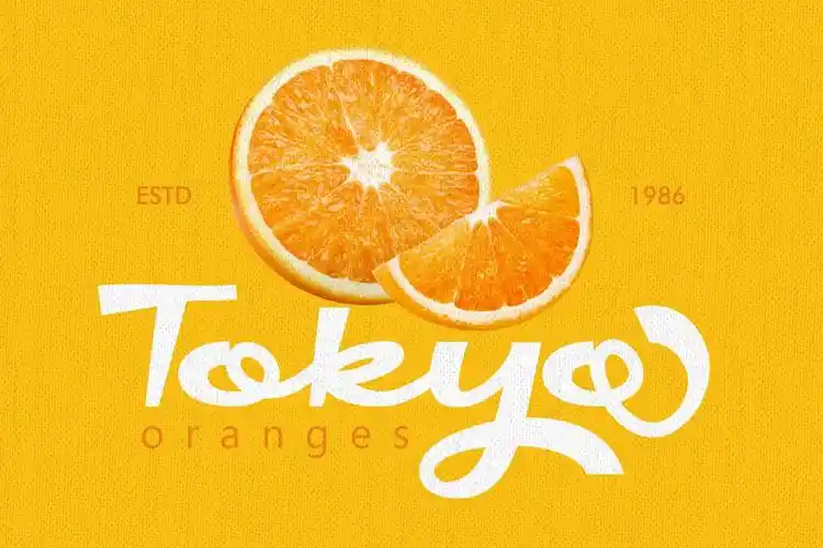 现代时尚品牌logo海报标题设计粗体英文字体素材 handaru font