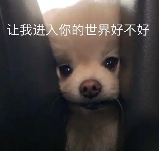 让我进入你的世界好不好_好不好_进入_世界表情