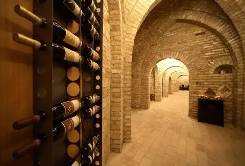 浓情美酒匈牙利二