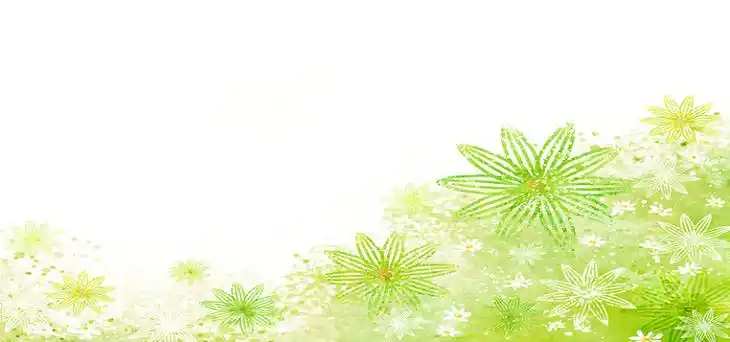 水彩花卉大气清新绿色淘宝海报背景