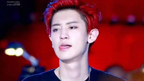 《monster》focus@real__pcyyyyy灿烈和红发的适配度是100%朴灿烈