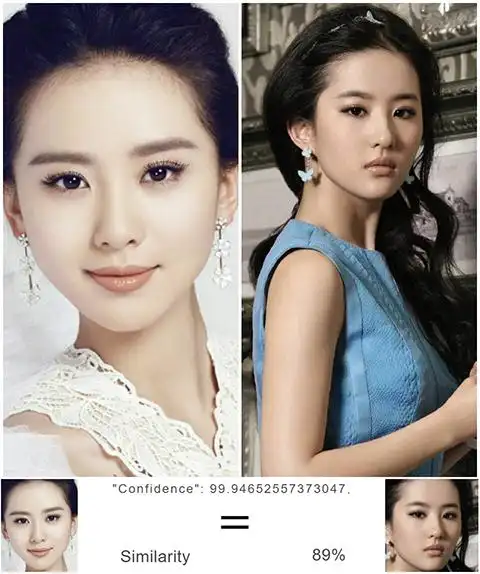 刘诗诗 v.s 刘亦菲: 相似度 89%