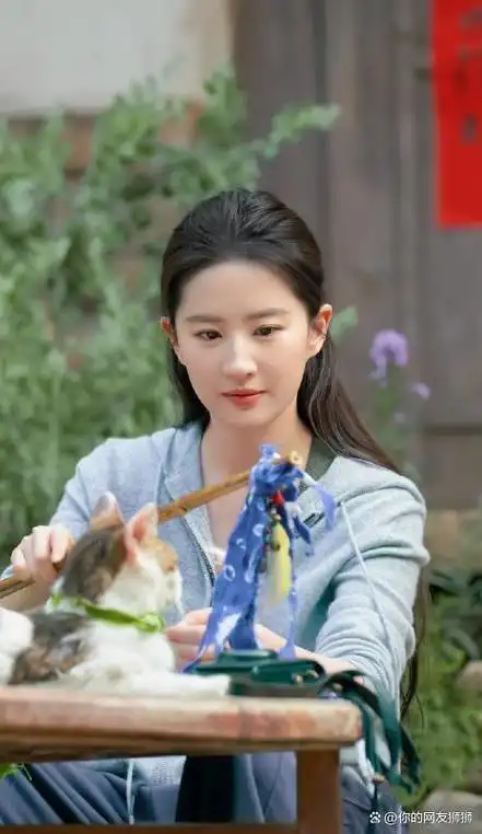 36岁仍无人敢娶的刘亦菲现在已经成为了人生赢家