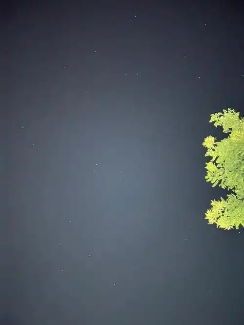 没有月亮看星星78