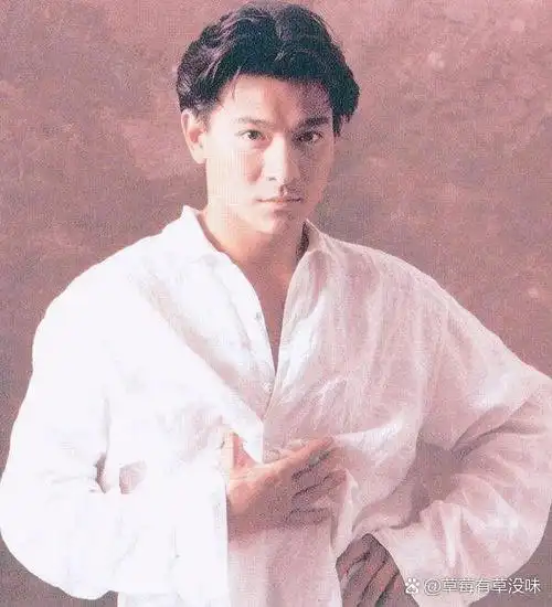 明星头像73天王刘德华