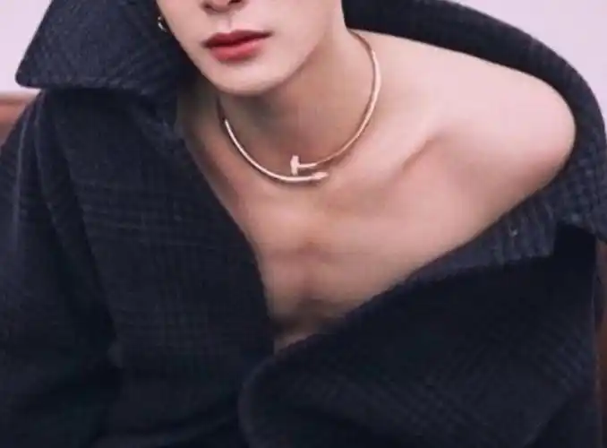 男明星锁骨猜猜猜(看能对几个)