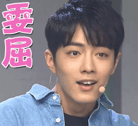 肖战表情包动图