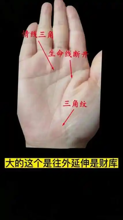 手相生命线出现2个三角好吗?纯属娱乐 拒绝迷信-度小视