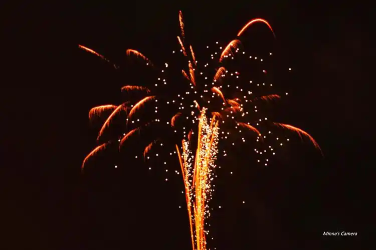 day69元宵节烟花图