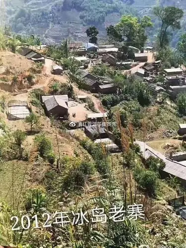 【第152篇】冰岛茶2公斤卖88万,背后是什么逻辑?