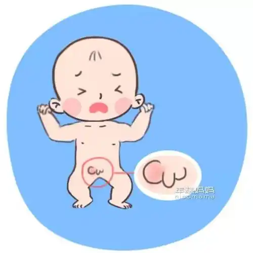 蛋蛋_睾丸_孩子