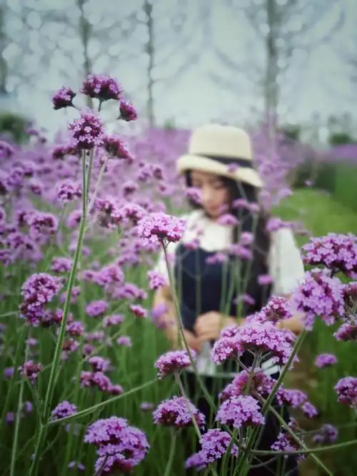 女人四十一枝花一一说的就是我