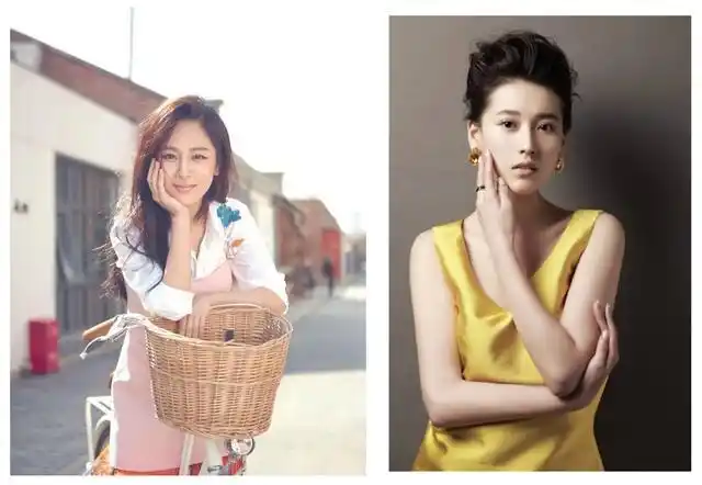 同为小雪的杨紫宁丹琳,如今成为"情敌",没想到最后还是她输了