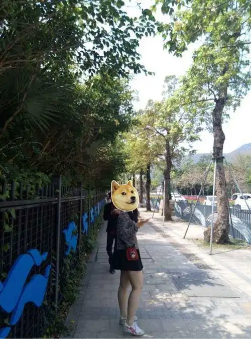 身高158 cm,体重 120 斤是不是真的很胖?