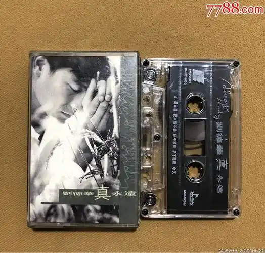 刘德华真永远艺能动音新马版