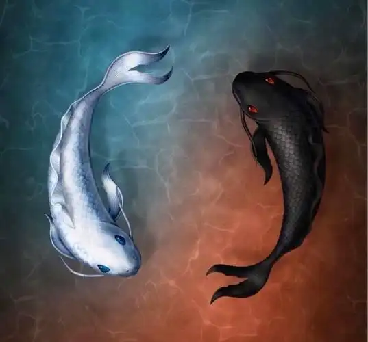 阴阳鱼太极图高清阴阳鱼太极图