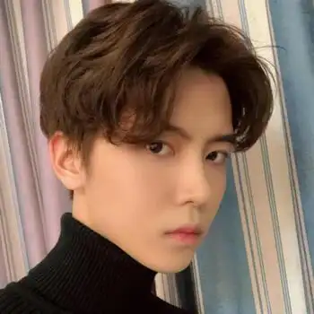 奶奶灰假发男蔡徐坤同款中分刘海短卷发韩版帅气时尚自然蓬松隐形 浅