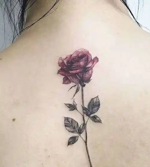 后背纹身图案大全(女性背部纹身图案) - 赤虎壹号