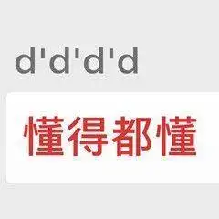 dddd懂得都懂