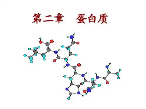 生物化学 王镜岩 第四章蛋白质的共价结构课件