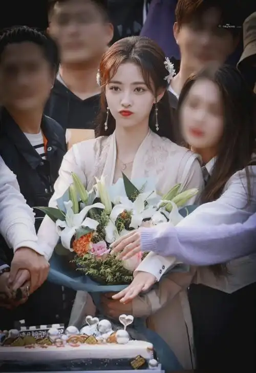 许佳琪主演电视剧清风朗月花正开定档1219