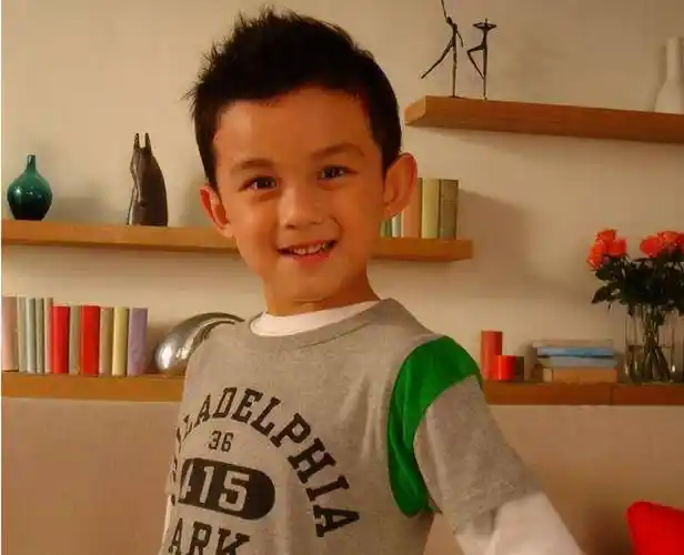 《家有儿女》(杨紫,张一山),《家有外星人》(吴磊),《新乌龙院》