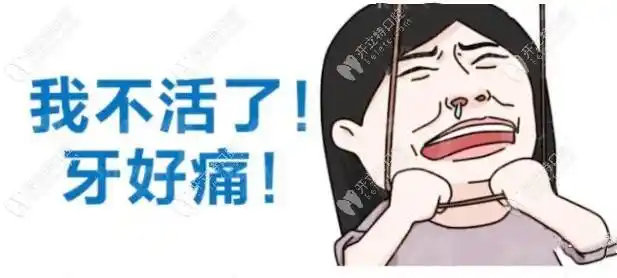 更糟心的是大半夜的牙痛真是难受啊,有很能忍的牙友问:"牙疼忍着会