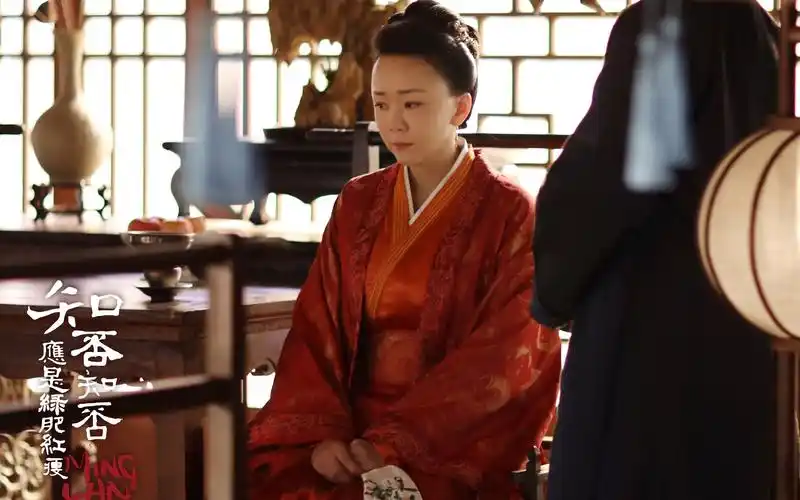 知否知否应是绿肥红瘦王一楠剧照图片壁纸