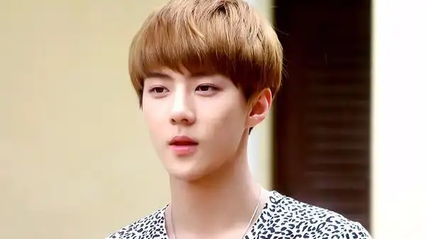 男生蘑菇头发型设计图片 示范潮男发型如何打理 男生蘑菇头,蘑菇头