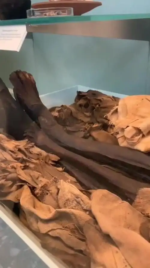 胆小勿看,真实埃及木乃伊!