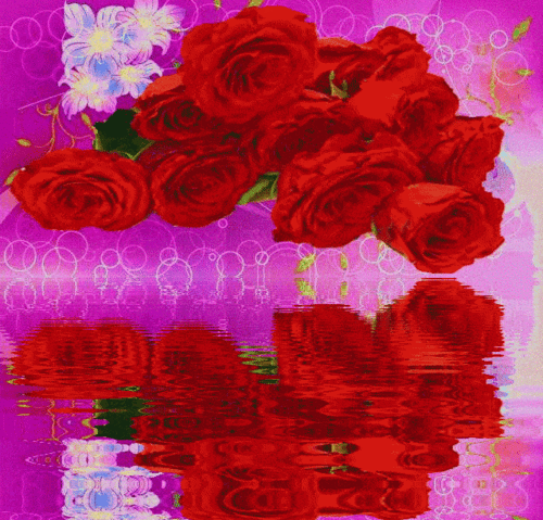 绝美动态玫瑰倒影花册太绝美了