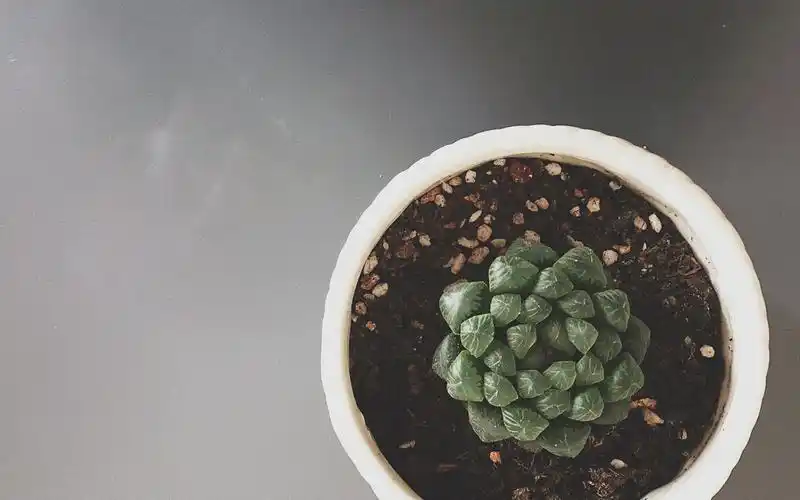 冷色系家居摄影图片桌面壁纸 唯美,摄影,文艺,静物