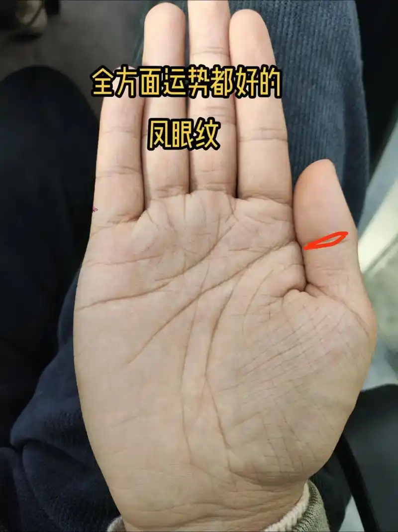 掌纹的秘密 #国学文化 #易经文化 凤眼纹,手相的一种,是拇指第一节