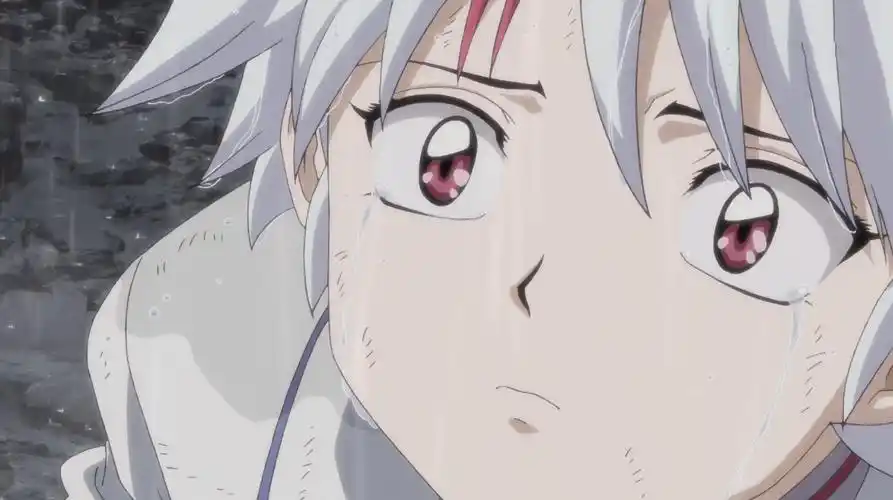 原创半妖的夜叉姬完结刹那被麒麟丸杀死永远继承天生牙