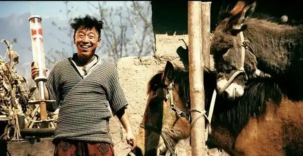 黄渤是中国当代最有实力和人气的演员之一,他凭借着精湛的演技和幽默