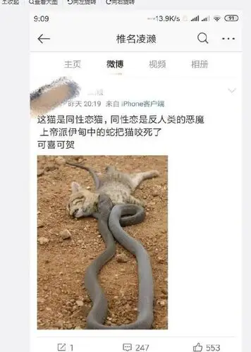 网称百色市田阳籍一男子有虐猫行为且发布过激言论系谣传