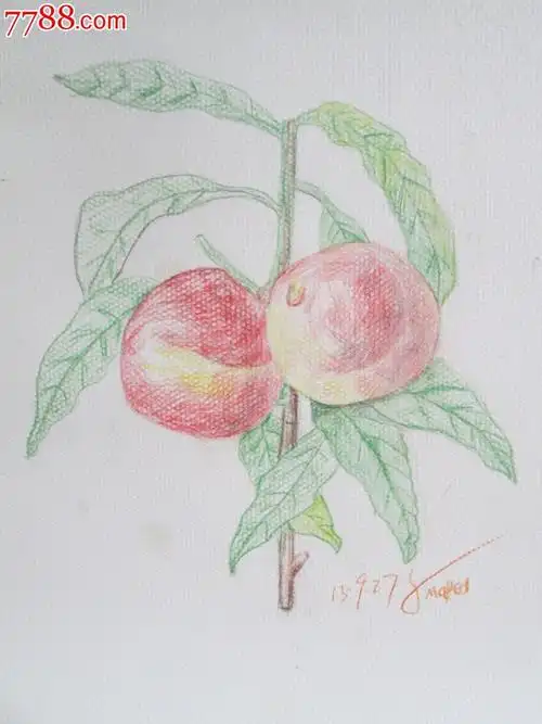 素描彩色铅笔画原作8k