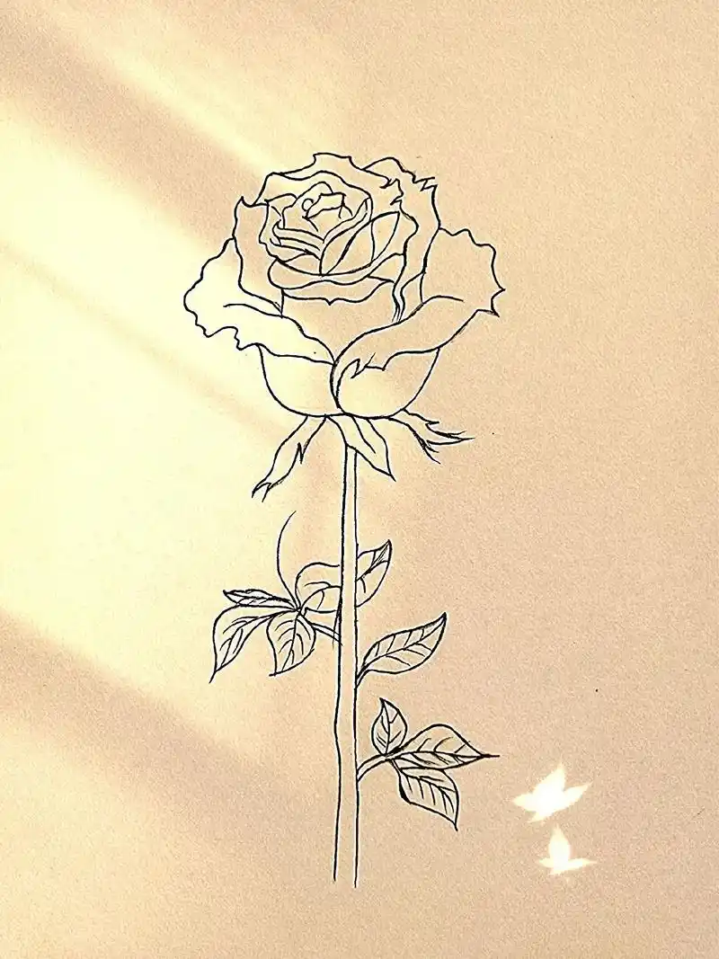 简笔画 #手绘 #临摹 #每日一画 #手绘过程  - 抖音