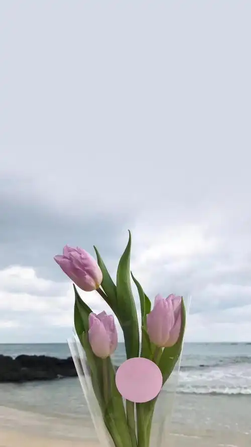 小清新治愈系花朵