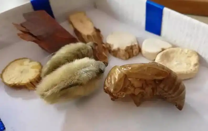 80后川妹子巧手做毛猴中药材为主料几乎每件作品都是孤品