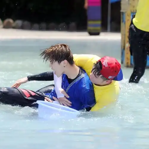 8月17日 9:24   关注  鹿晗 明星 评论 收藏