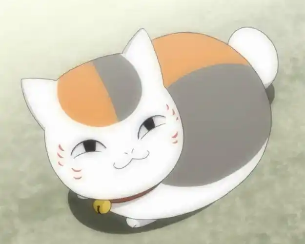 动漫猫咪老师图片电脑壁纸喵咪萌萌的可爱喵咪猫咪老师夏目友人帐