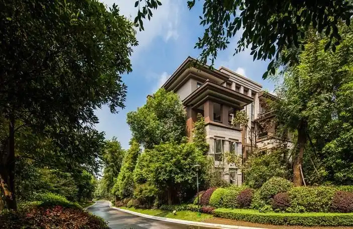 爆款川大旁的河景别墅:上一个是河滨印象,下一个是…?