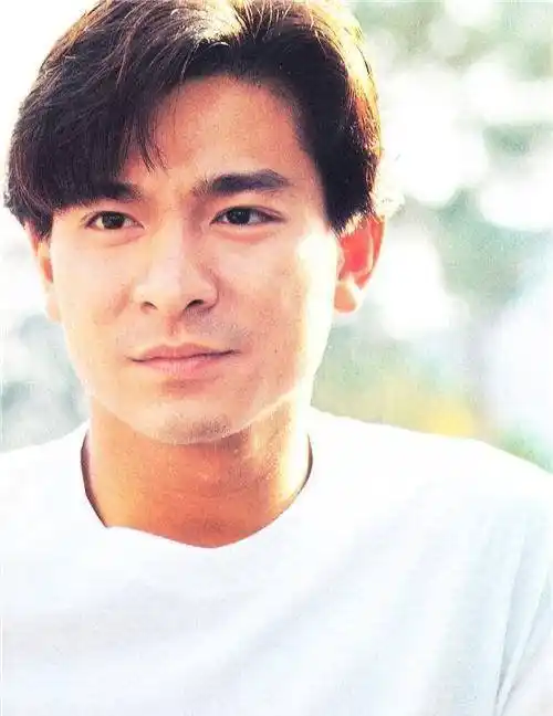 第一,刘德华凭借自己的才能,身价过亿说起刘德华,年轻时,粉丝都亲切地