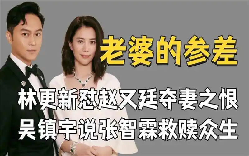 林更新怼赵又廷夺妻之恨,吴镇宇说张智霖救赎众生,男星娶妻参差