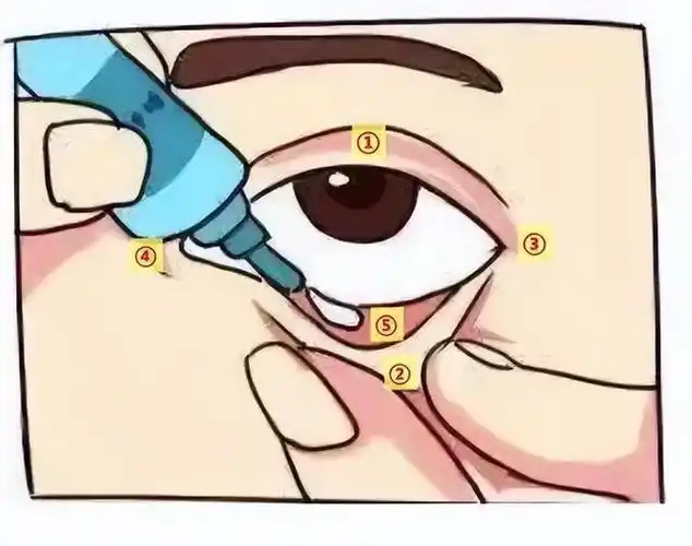 眼膏的使用方法