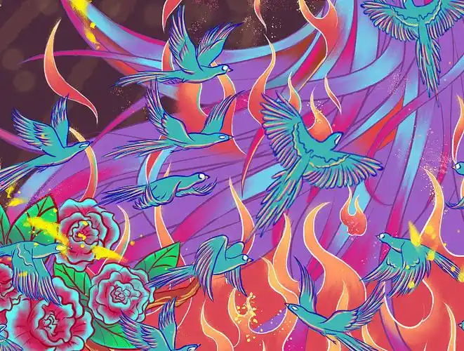 粉红凤凰火凤凰