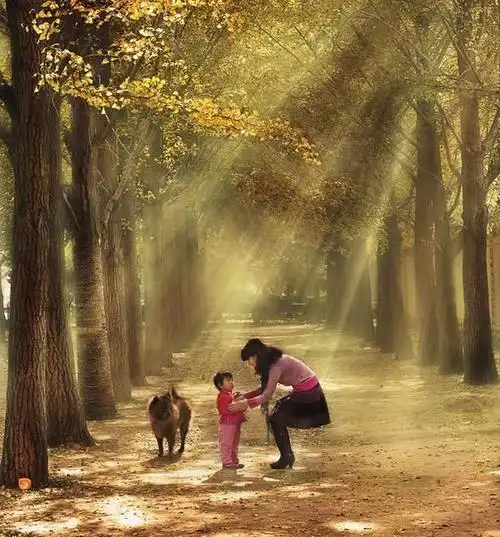 母爱有多伟大这些照片让人泪流不止妈妈的爱是超越生死的永恒