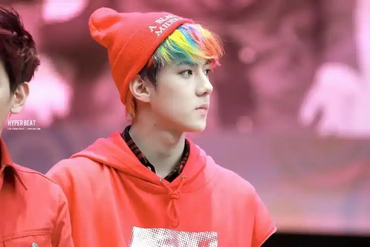 【吴世勋】回顾宝宝的彩虹头