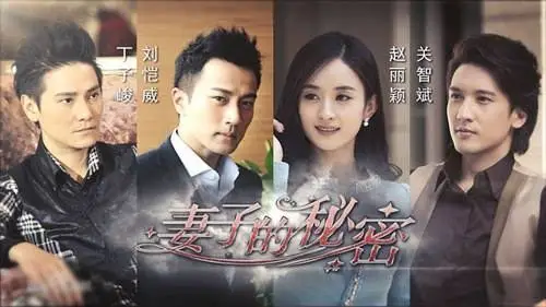 电视剧《妻子的秘密》演员表